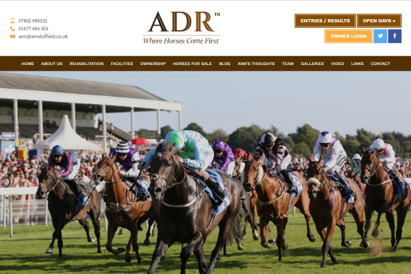 Horse Racing Trainers