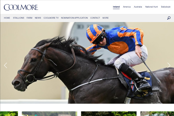 Thoroughbred Bloodstock