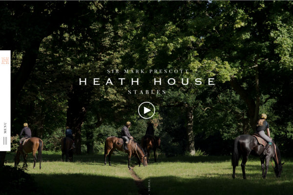 Horse Racing Trainers