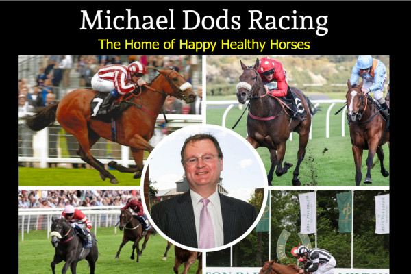 Horse Racing Trainers