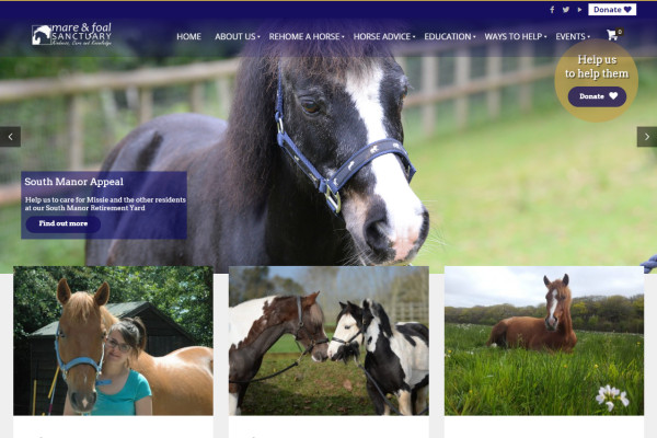 Horse Racing Charities